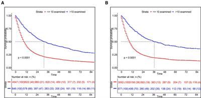 A modified survival model for patients with esophageal squamous cell carcinoma based on lymph nodes: A study based on SEER database and external validation